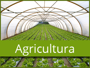 agricultura2