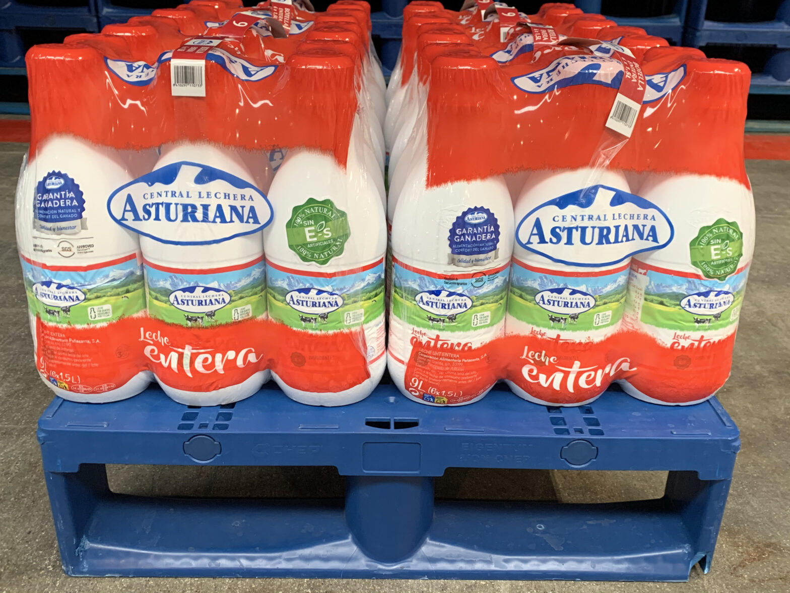 CAPSA Nortpalet CAPSA Nortpalet