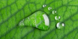 Taller huella hídirca web 2023