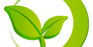 Taller Ciclo de vida