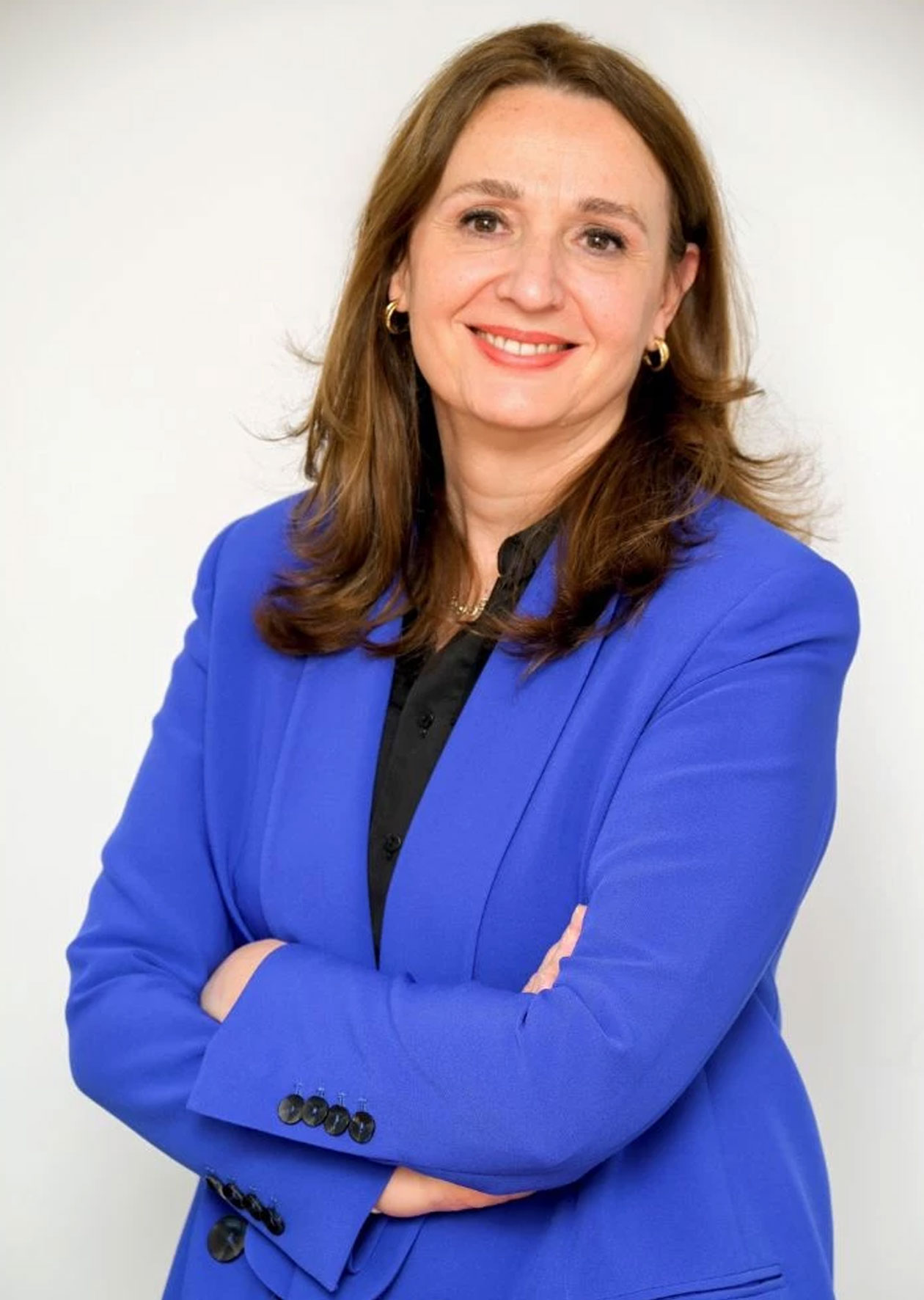 quienes somos anaip luis cediel